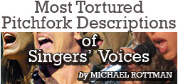 Most Tortured Pitchfork Descriptions of Singers’ Voices