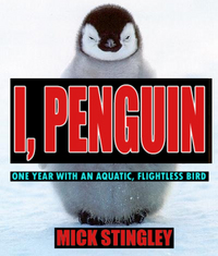 stingleypenguin.jpg